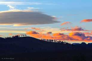 Sunrise over the ridge-4886.jpg Sunrise over the ridge-4886.jpg